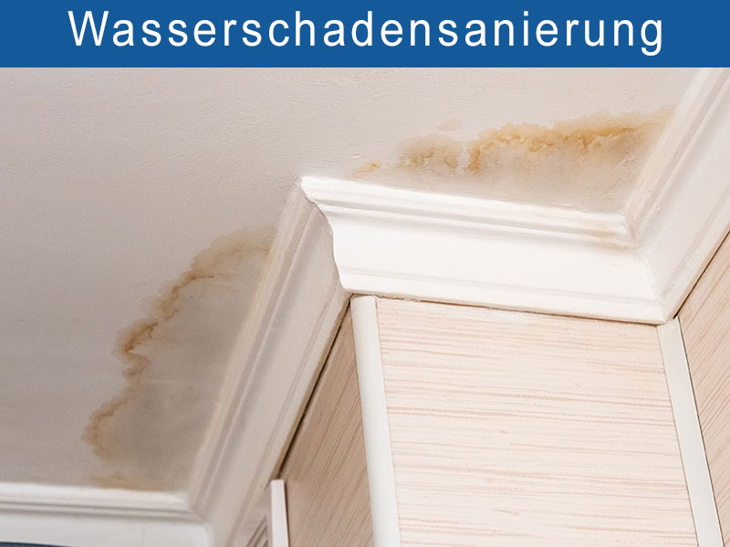 GBS Sanierungs GmbH, Brandschadensanierung, Wasserschadensanierung, Schimmelsanierung, Wohnungsrenovierung, Malerarbeiten, Bodenbelagsarbeiten, Leipzig, Berlin, Halle, Schkeuditz, Innenausbau, Trockenbau, Fliesenleger, Fliesenarbeiten, Malerbetrieb, Bodenleger,